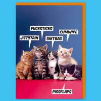 Read Dean Morris Cards Reviews